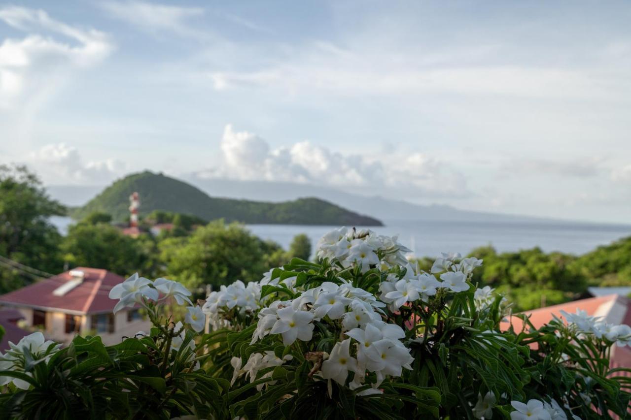 Bungalow Anse Figuier Terre-De-Haut Dış mekan fotoğraf