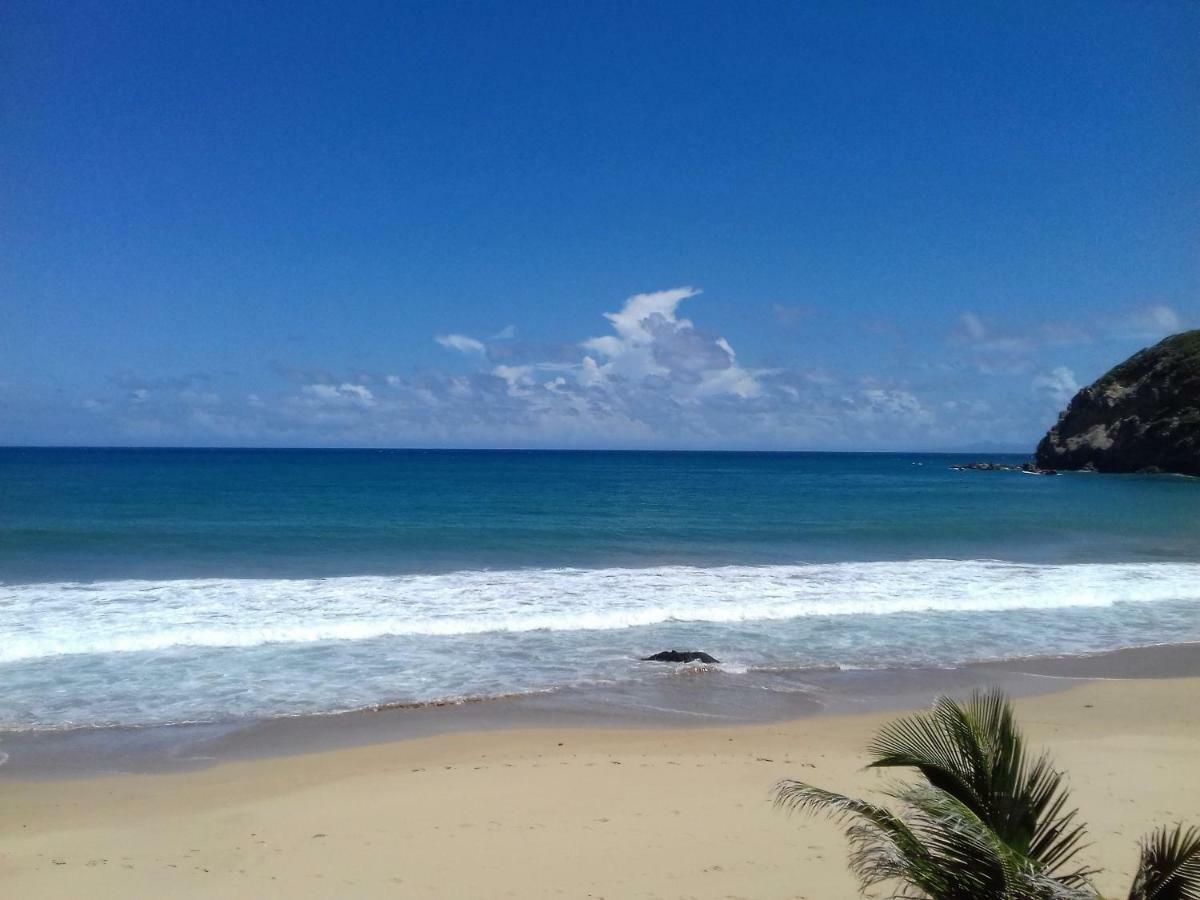 Bungalow Anse Figuier Terre-De-Haut Dış mekan fotoğraf